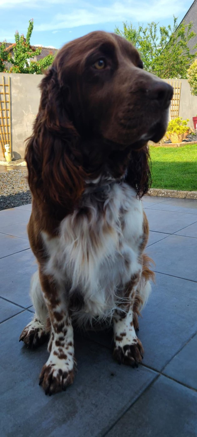 TR. CH. Ul'tra speed Des Contrees Du Mont Salin