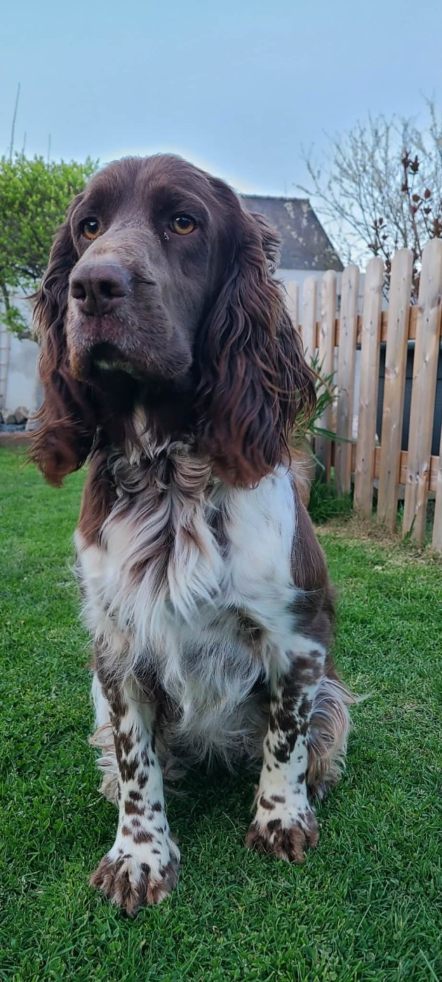 TR. CH. Ul'tra speed Des Contrees Du Mont Salin