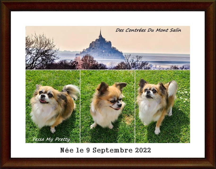 Tessa my pretty Des Contrees Du Mont Salin