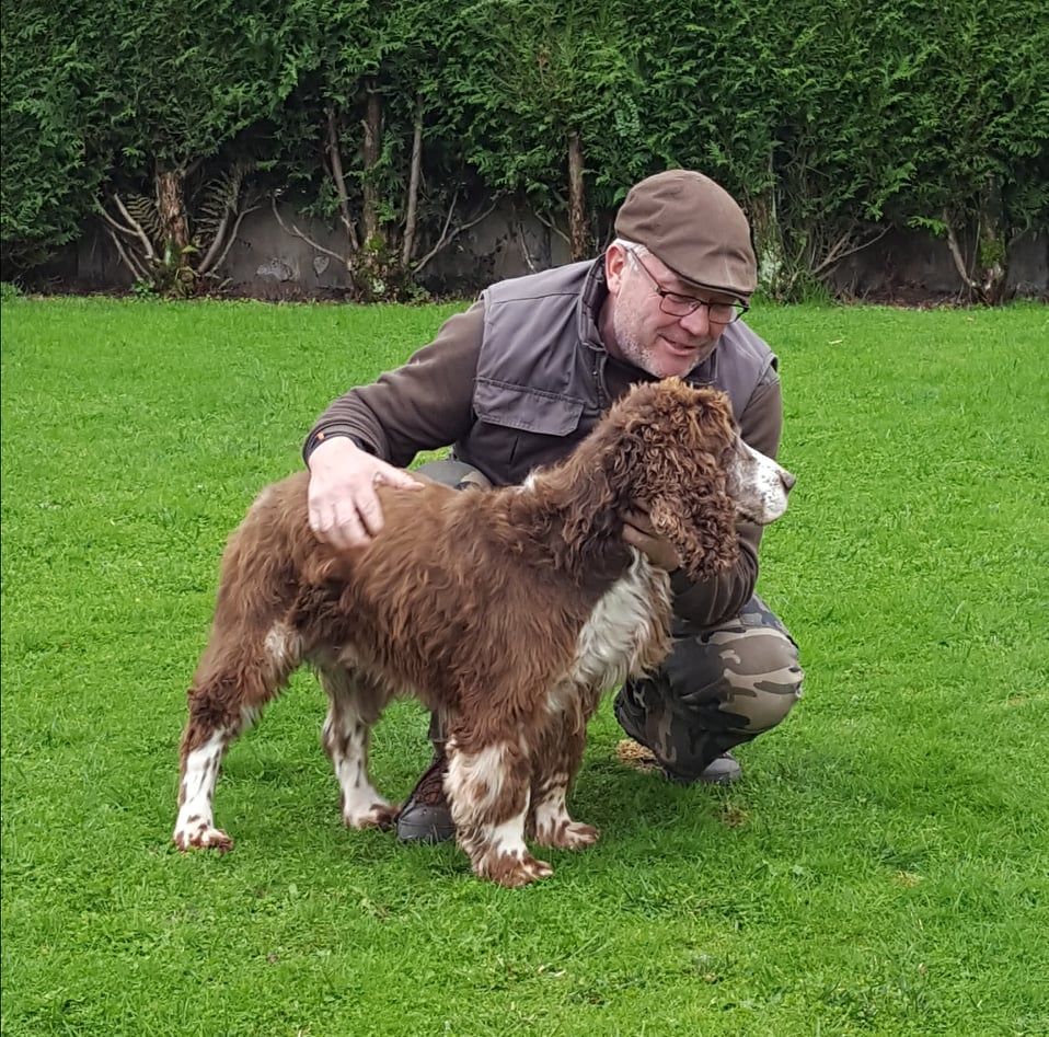 ORKA et DALTON, 2019-2020