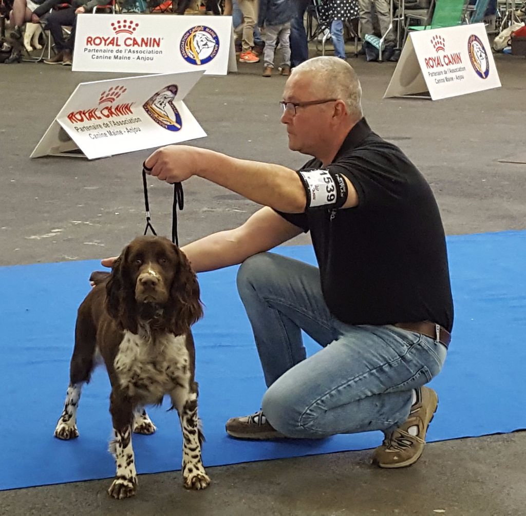 EXPOSITION CANINE ORKA