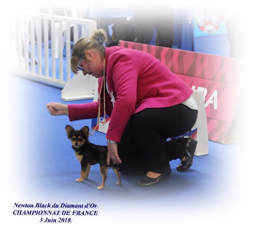 CHAMPIONNAT DE FRANCE 2018