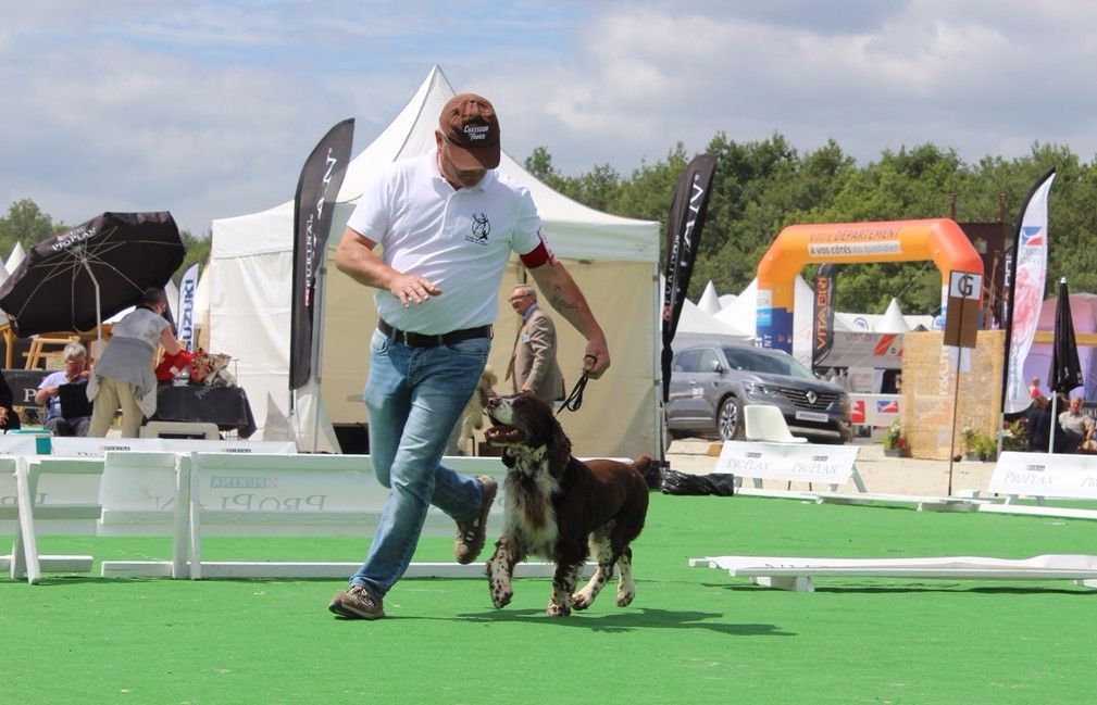 GAME FAIR // LAMOTTE-BEUVRON // JUIN 2018