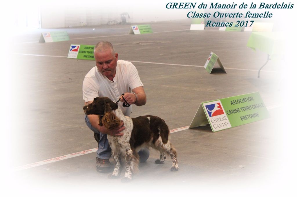 GREEN du Manoir de la Bardelais (fille de AWENA dit abbye et DALTON)